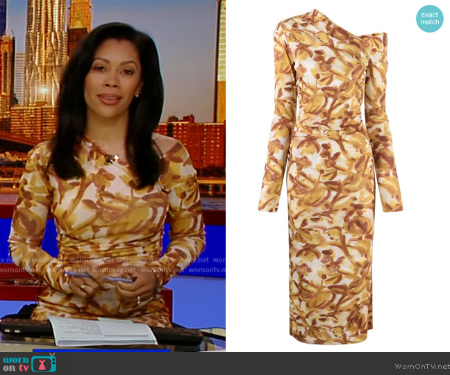 Nanushka Jasno One-Shoulder Long Sleeve Dress worn by Shirleen Allicot on Good Morning America