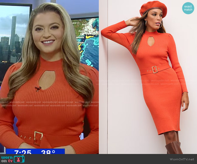 New York & Company Keyhole Cut-Out Ribbed Sweater Dress worn by Dani Beckstrom on Good Morning America