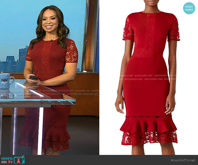 WornOnTV: Adelle’s red lace panel dress on Today | Adelle Caballero ...