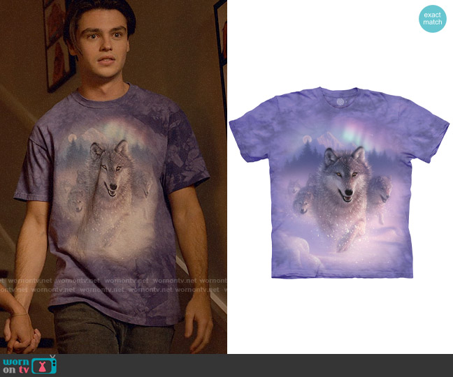 The Mountain Northern Lights Classic Cotton T-Shirt from worn by Marcus Baker (Felix Mallard) on Ginny & Georgia