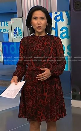 Vicky's red leopard dress on NBC News Daily