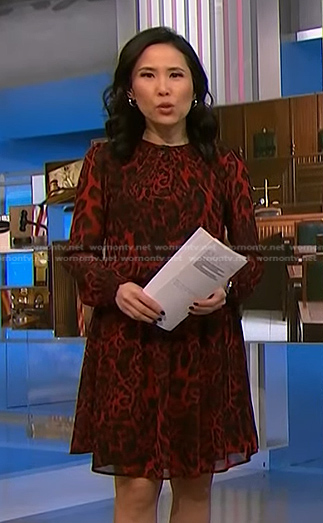 Vicky’s red leopard dress on NBC News Daily