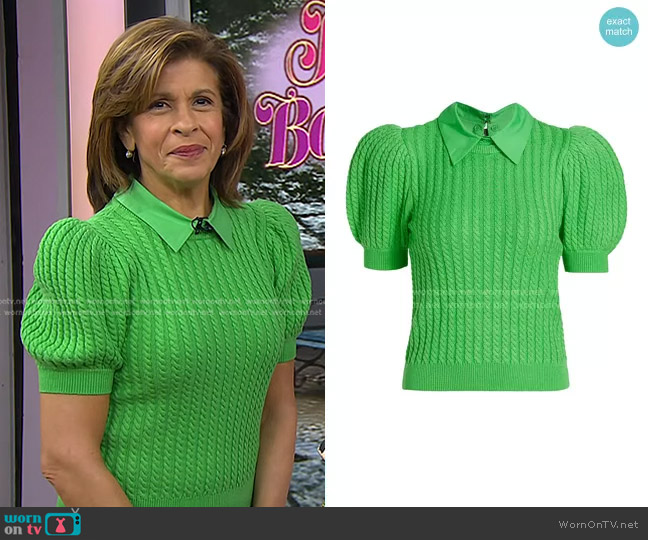 Alice + Olivia Chase Cable-Knit Puff-Sleeve Sweater worn by Hoda Kotb on Today