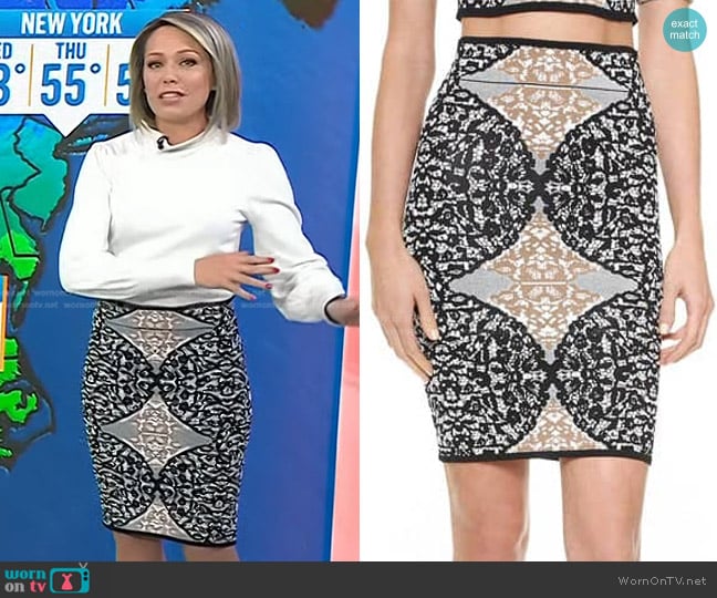 Bcbgmaxazria Battenburg Pencil Skirt worn by Dylan Dreyer on Today