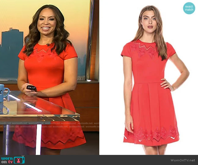 Ted Baker Cheskka Lace and Mesh Skater Dress worn by Adelle Caballero on Today