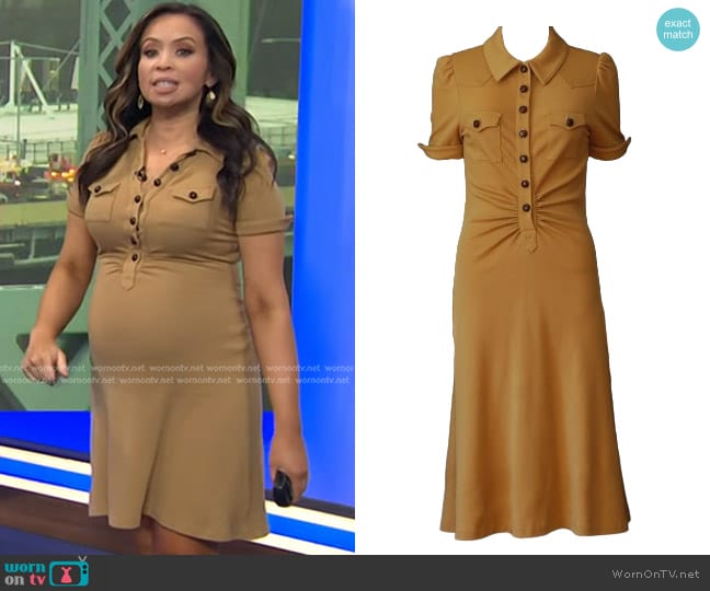 Diane Von Furstenberg Wool Short Sleeve Dress worn by Adelle Caballero on Today