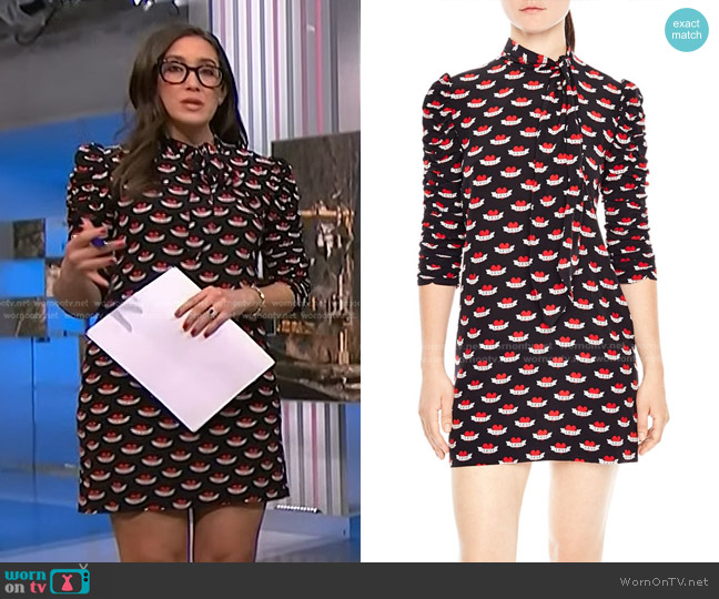 Sandro Ruched Sleeve Tattoo Print Dress worn by Savannah Sellers on NBC News Daily