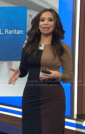 Adelle's black and brown colorblock dress on Today