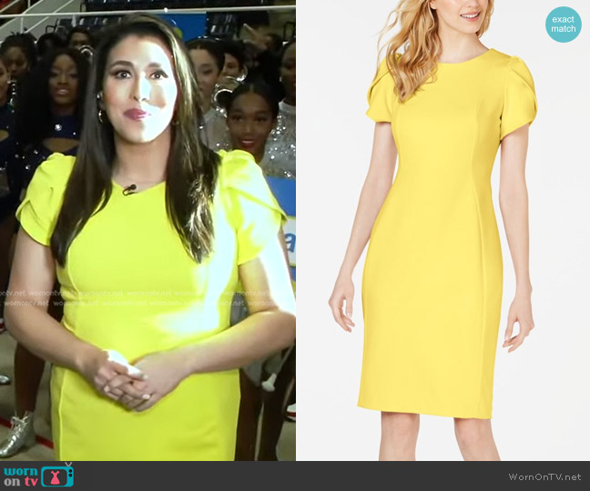 Calvin Klein Tulip-Sleeve Sheath Dress worn by Victoria Sanchez on Good Morning America