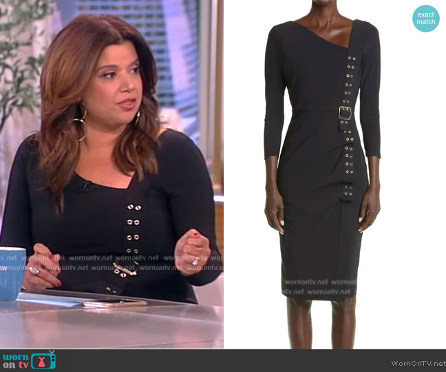 Chiara Boni La Petite Cibeles Three Quarter Sleeve Sheath Dress worn by Ana Navarro on The View