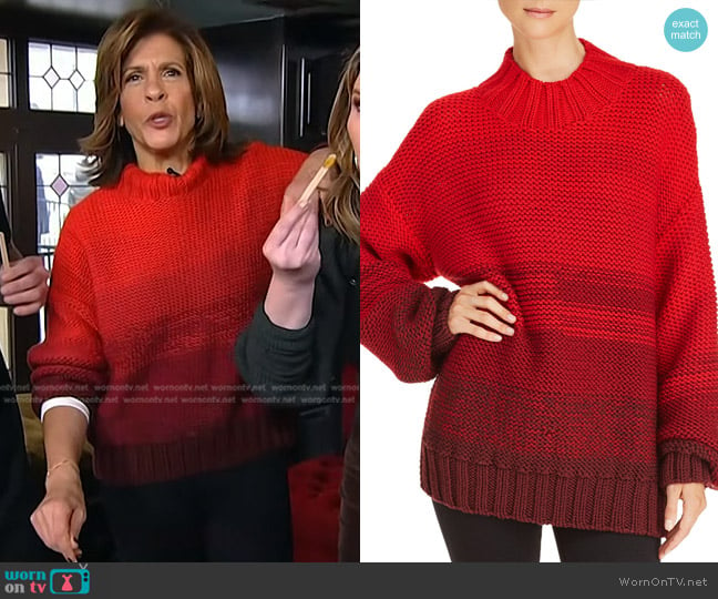 Elizabeth and James Reve Degrade Merino-Wool Sweater worn by Hoda Kotb on Today