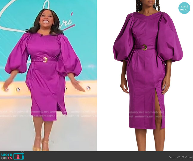 Harbison Cloud Belted Sheath Dress worn by Sherri Shepherd on Sherri