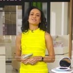 Linsey’s yellow sleeveless fringed dress on Good Morning America