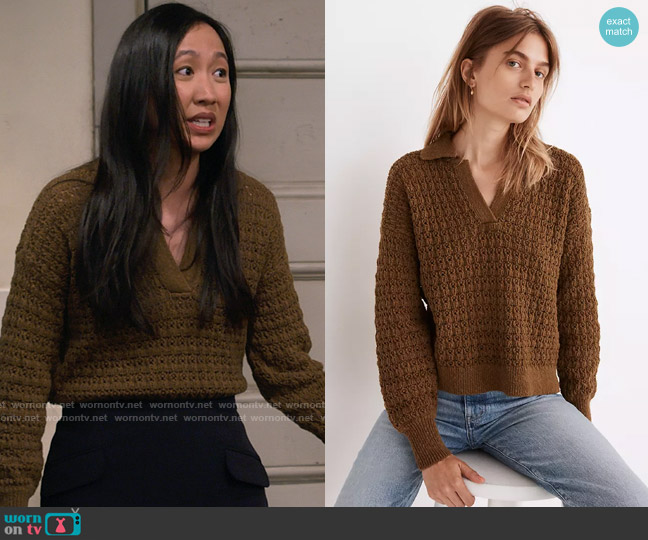 Madewell Sunbury Open Stitch Polo Sweater worn by Ellen (Tien Tran) on How I Met Your Father