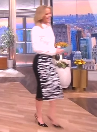 Sara’s zebra stripe metallic skirt on The View