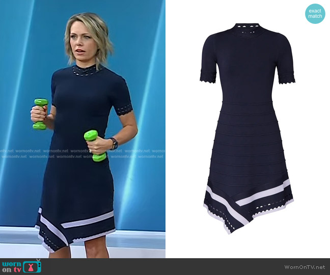 Shoshanna Costa Dress worn by Dylan Dreyer on Today