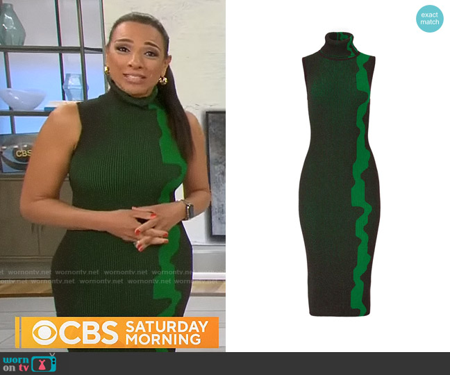 WornOnTV: Michelle Miller’s green printed sleeveless turtleneck dress ...
