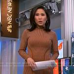 Vicky’s brown ribbed dress on NBC News Daily