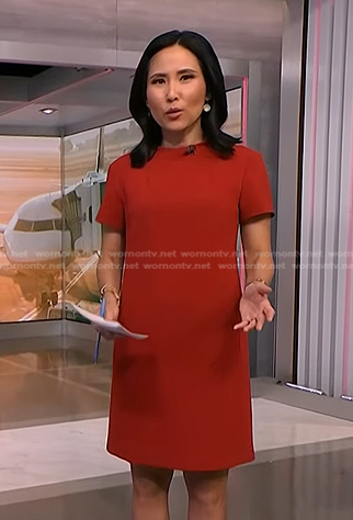 Vicky’s red short sleeve shift dress on NBC News Daily