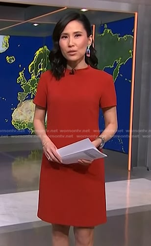 Vicky’s red short sleeve shift dress on NBC News Daily