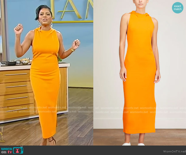 Victor Glemaud Cut Out Hooded Dress in Orange worn by Tamron Hall on Tamron Hall Show