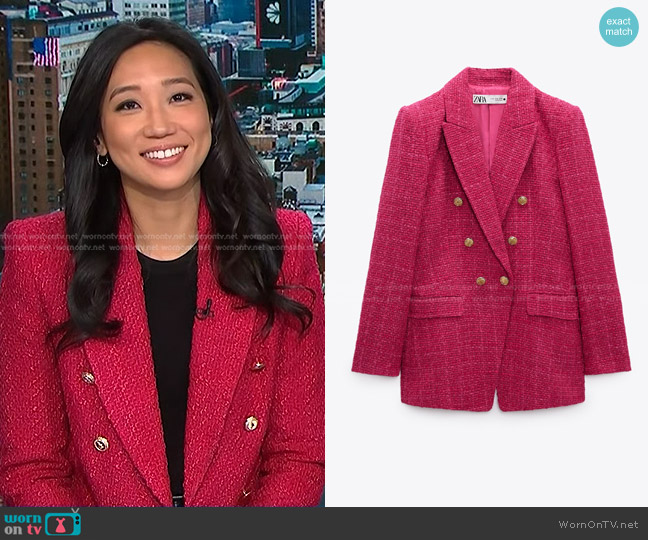 Zara Long Sleeve Lapel Collar Blazer worn by Kathy Park on NBC News Daily