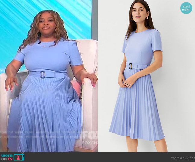 Ann Taylor Belted Pleated Flare Dress worn by Sherri Shepherd on Sherri