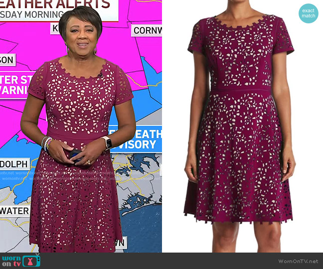 Focus By Shani Fit and Flare Laser Cutting Dress worn by Janice Huff on Access Hollywood