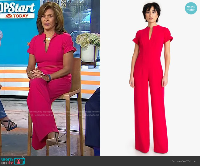 WornOnTV: Hoda’s pink short sleeve jumpsuit on Today | Hoda Kotb ...