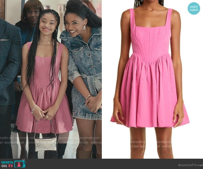 Staud Landscape Corset Bodice Fit & Flare Dress worn by Ashley Banks (Akira Akbar) on Bel-Air