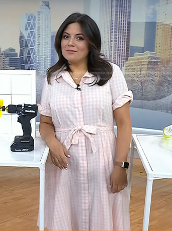 Adrianna’s pink gingham check shirtdress on Today