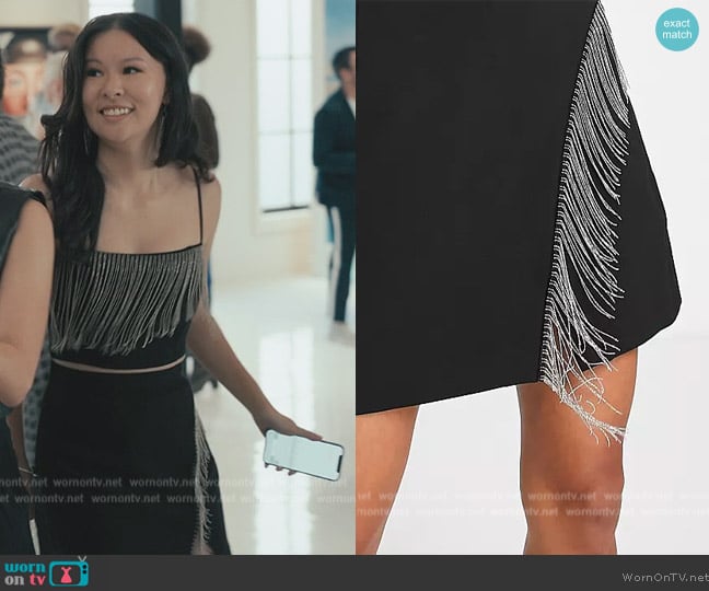 & Other Stories Rhinestone fringe mini skirt in black worn by Aimee Li (Aimee Li) on Bel-Air