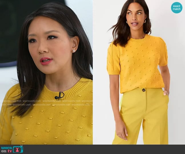 Ann Taylor Mixed Stitch Cable Sweater Tee in Yellow Calla Lilly worn by Nancy Chen on CBS Mornings