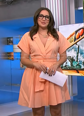 Savannah’s orange short sleeve wrap dress on NBC News Daily