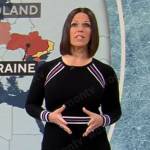 Dana Jacobson’s black dress with striped details on CBS Mornings