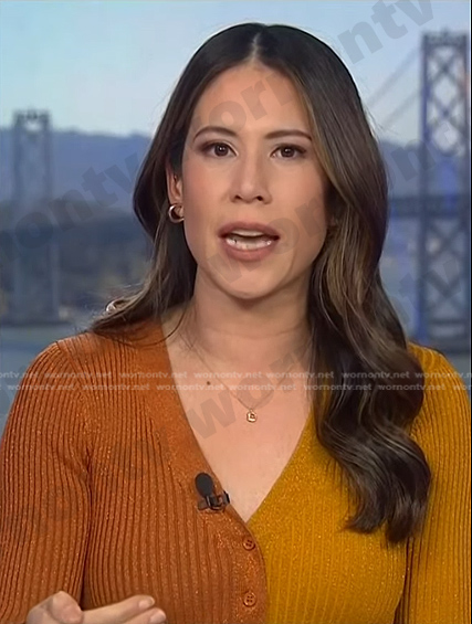 Deirdre Bosa’s metallic colorblock dress on NBC News Daily