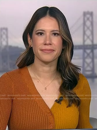 Deirdre Bosa's metallic colorblock dress on NBC News Daily