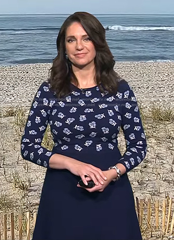 Maria’s navy floral long sleeve dress on Today