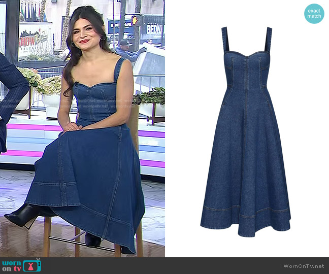 Oscar de la Renta Sweetheart Neck Denim Dress worn by Phillipa Soo on Today