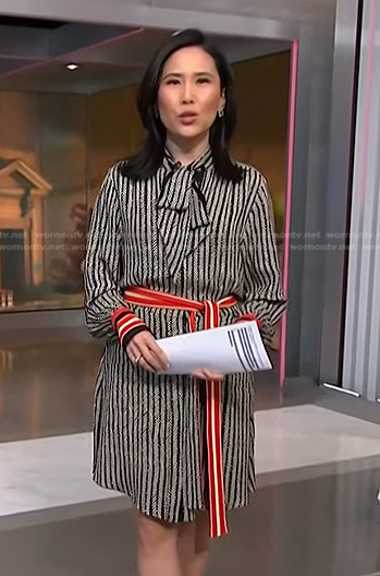 Vicky’s black striped tie neck dress on NBC News Daily
