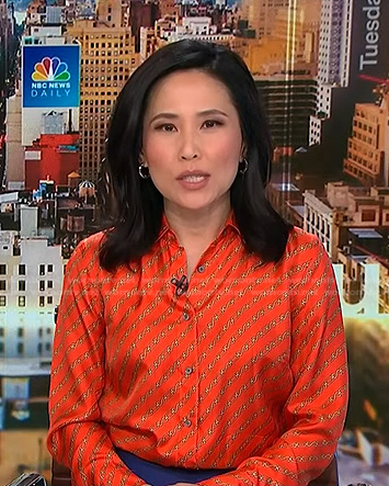 Vicky’s orange chain print shirt on NBC News Daily