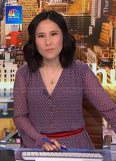 Vicky’s purple geometric print dress on NBC News Daily