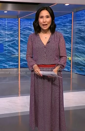 Vicky’s purple geometric print dress on NBC News Daily