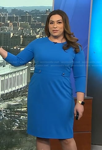 Violeta Yas’s blue sheath dress on NBC News Daily