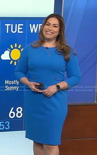 Violeta Yas’s blue sheath dress on NBC News Daily