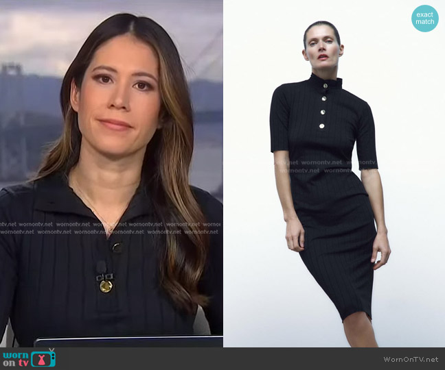 Zara Ribbed Dress with Buttons worn by Deirdre Bosa on NBC News Daily