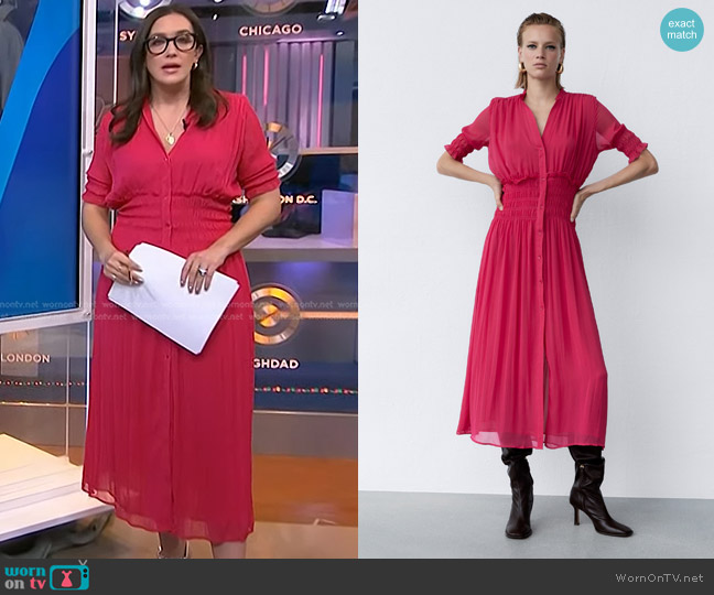 Zara Pleated Dress worn by Savannah Sellers on NBC News Daily