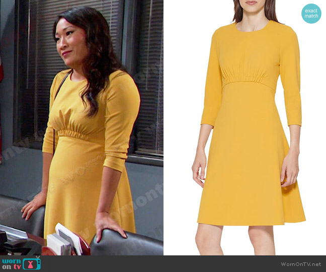 Calvin Klein Empire Waist Dress worn by Melinda Trask (Tina Huang) on Days of our Lives