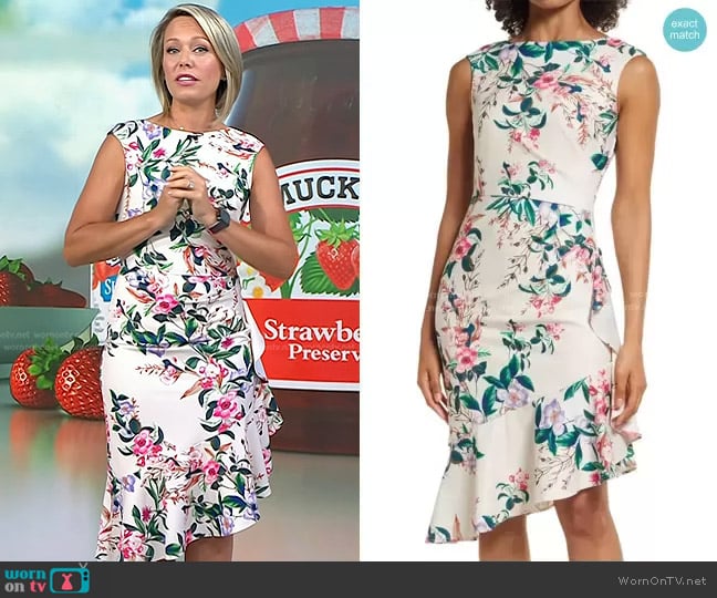 Eliza J Cascade Ruffle Sheath Dress worn by Dylan Dreyer on Today