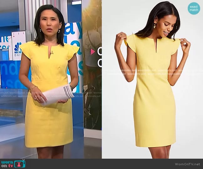 Ann Taylor Flutter Sheath Dress worn by Vicky Nguyen on NBC News Daily